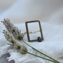 Load image into Gallery viewer, The frame spinning ring